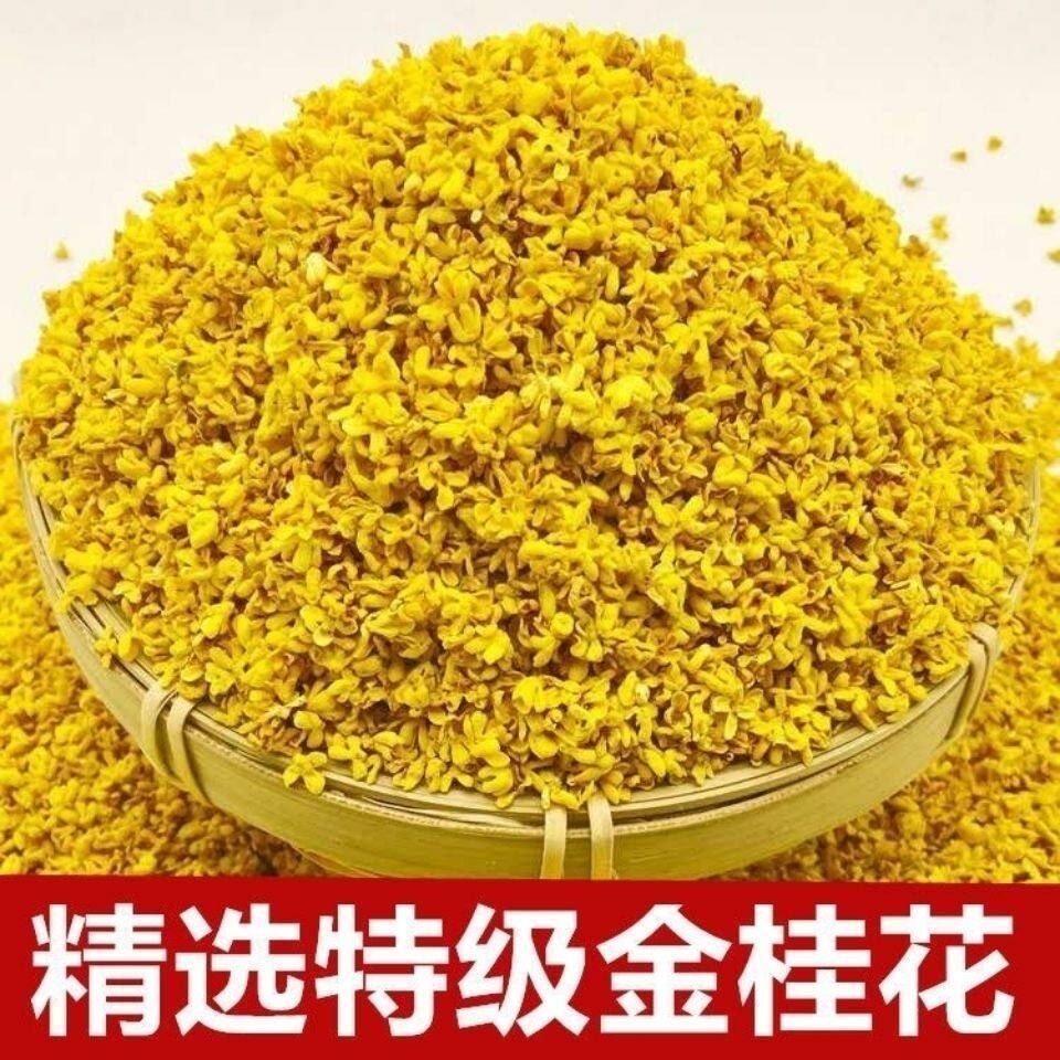 精品2025新桂花桂林新花瓣烘焙免洗新鲜桂花草茶泡茶散装真货
