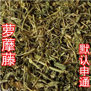 热卖野山萝摩草  萝藦羊母奶草 奶浆藤草 天浆壳草 罗摩 500克