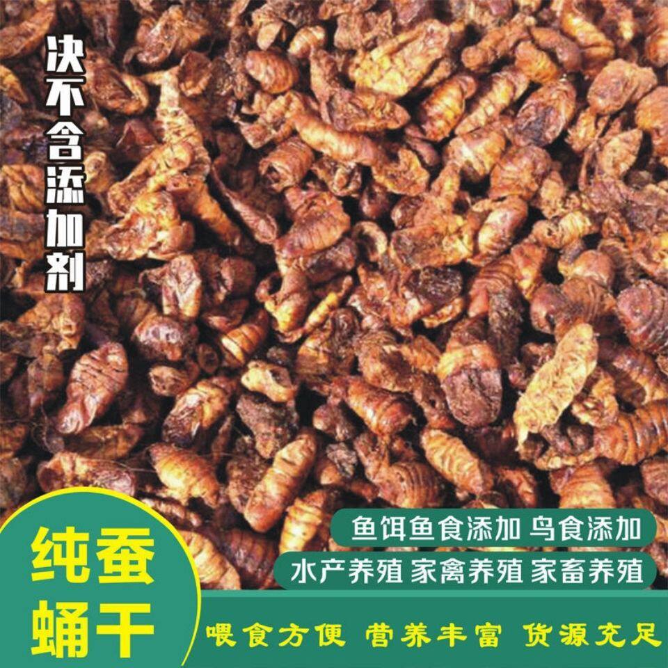 热卖蚕蛹干 纯干茧蛹干烘干药用蚕蛹蚕蛹干蛹鸟食饲料蚕蛹粉真货