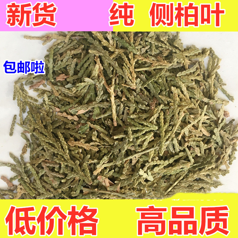 精品侧柏叶 侧百叶 枕头填充 散装新货 500g克