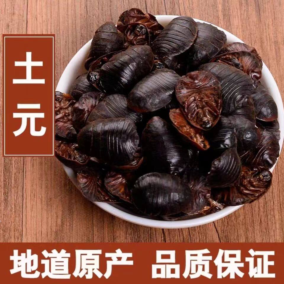精品土元 优选土元 土鳖虫干 地鳖虫蛰虫 新鲜干货 散装500g包邮