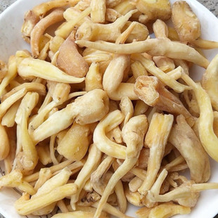 热卖正宗山货---玉贡灵根益身百搭好货真货