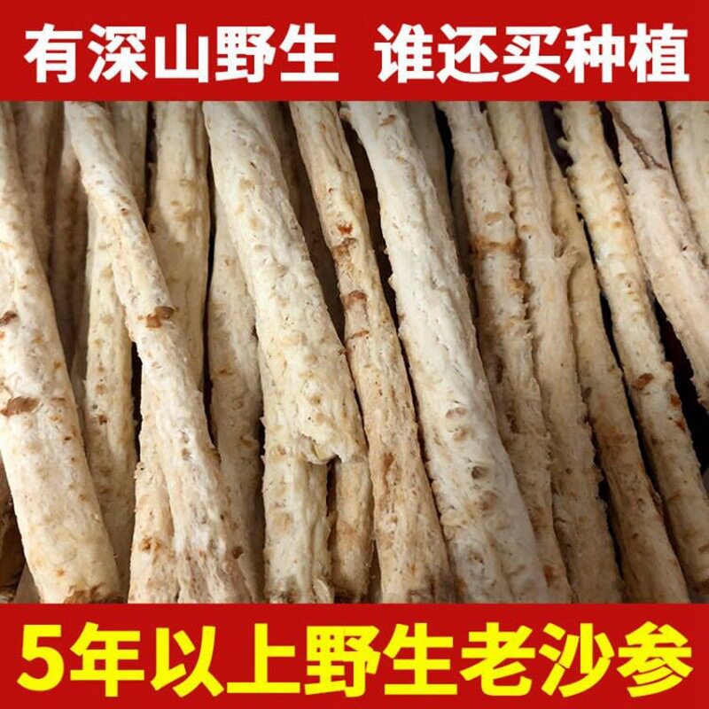 【野山挖】北沙参材正品沙参新鲜北沙叁干货优选沙叁沙生