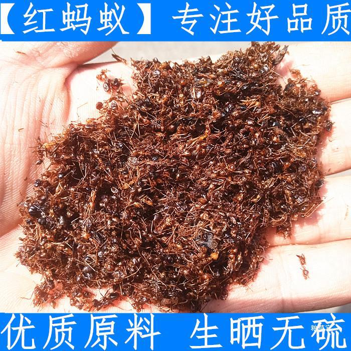 精品蚂蚁长白山红蚂蚁干 东北大蚂蚁250克新鲜干货支持验货真货