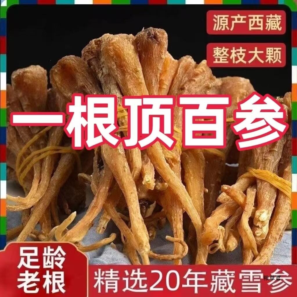 热卖野山雪参西藏天然藏雪参整根大条海拔人参煲汤特产参好货真货