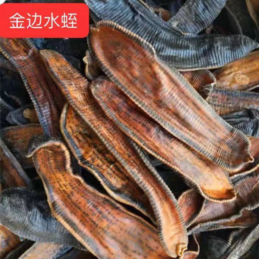 精品正品蚂蟥水蛭干货吊干金边水蛭水蛭鲜活无添加空心去皮养生