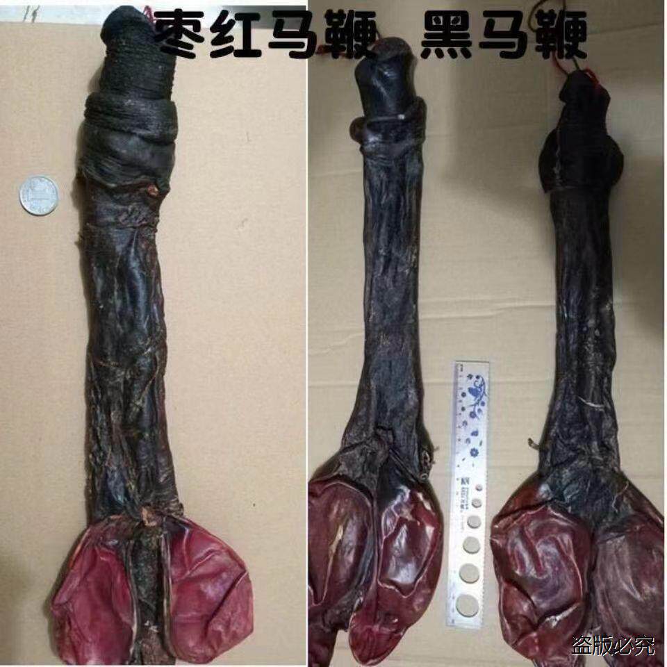 精选白马鞭干黑马鞭正品特大马鞭带蛋睾丸男性泡酒料M7