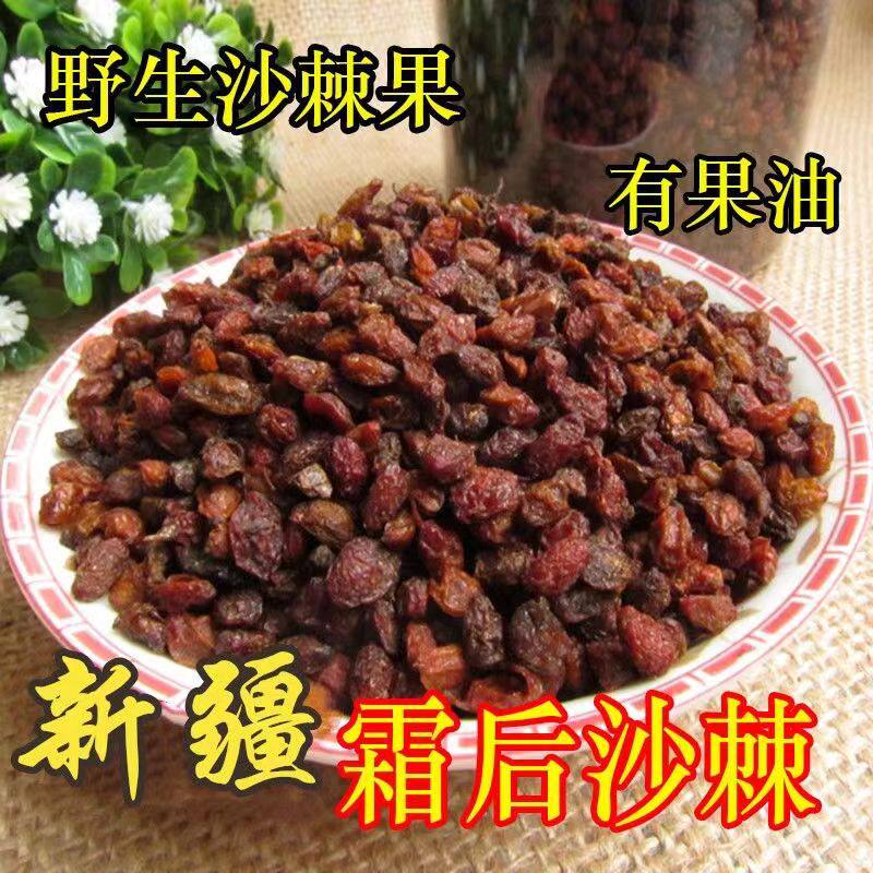 精品新货沙棘果干 新疆特产沙棘干果 沙棘茶 沙棘果油果浆原料