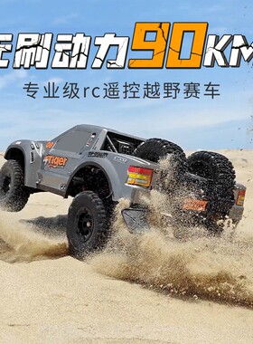 FY08 PRO全比例无线电动操控竞速高速1:12无刷版沙漠短卡车RC赛事