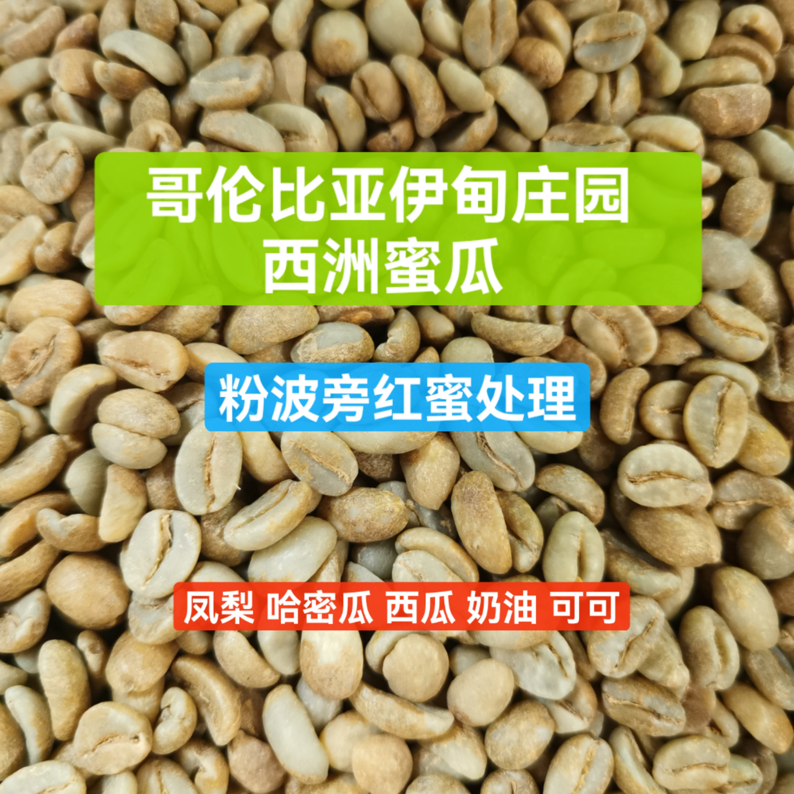 限时免费代烘！哥伦比亚伊甸庄园西洲蜜瓜粉波蜜处理精品咖啡生豆