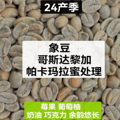限时免费代焙咖啡生豆哥斯达黎加象豆巨型豆帕卡玛拉蜜处理包邮