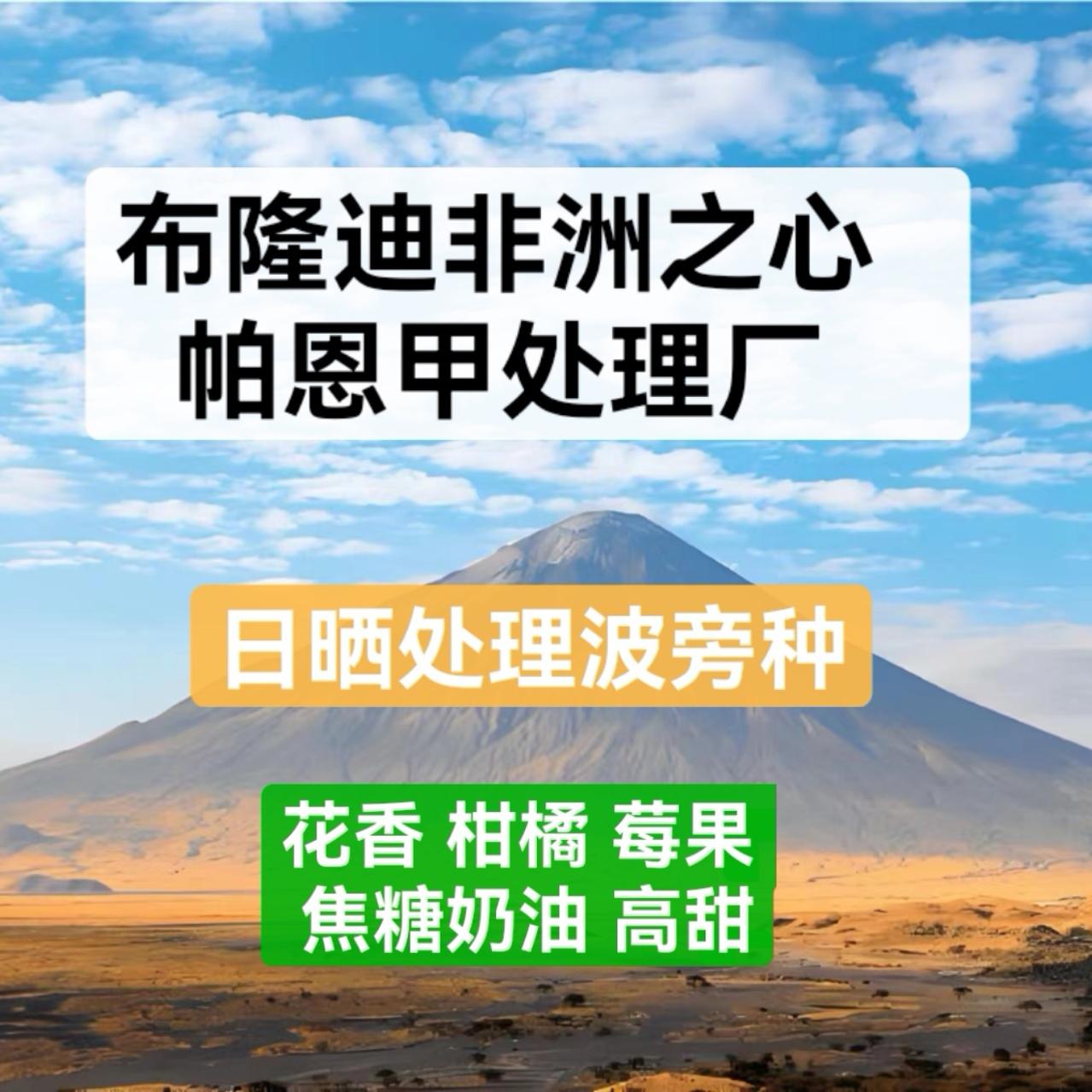 新产季布隆迪Burundi非洲之心日晒波旁种 精品咖啡生豆1000克包邮