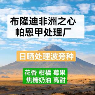 新产季布隆迪Burundi非洲之心日晒波旁种 精品咖啡生豆1000克包邮