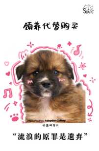 启明动物保护中心2026年2月感恩卡片