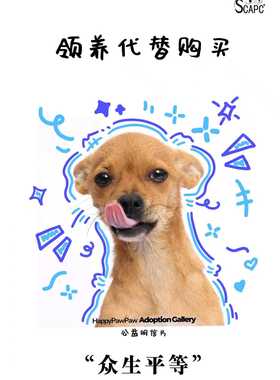 启明动物保护中心2025年12月感恩卡片