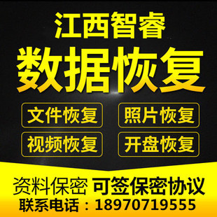 笔记本电脑台式机硬盘移动硬盘数据恢复开盘维修U盘服务器数据恢