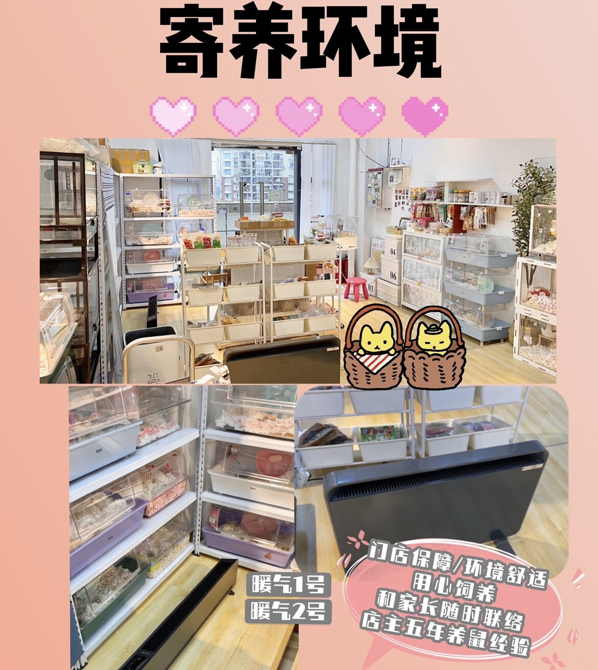 奶油熊舍重庆宠物寄养仓鼠金丝熊寄养小宠笼子粮住宿居住