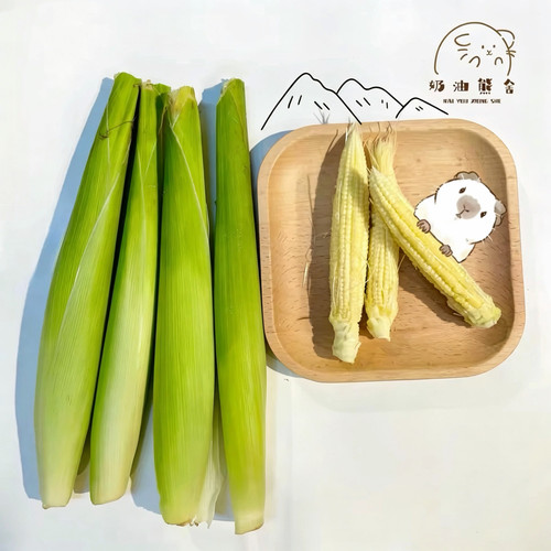 奶油熊舍新鲜玉米笋蔬菜仓鼠荷兰猪金丝熊零食