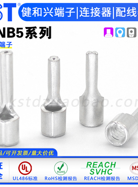 台湾KST健和兴端子 PTNB5-13 PTNB5-10针形裸端子 TZ插针 UL认证