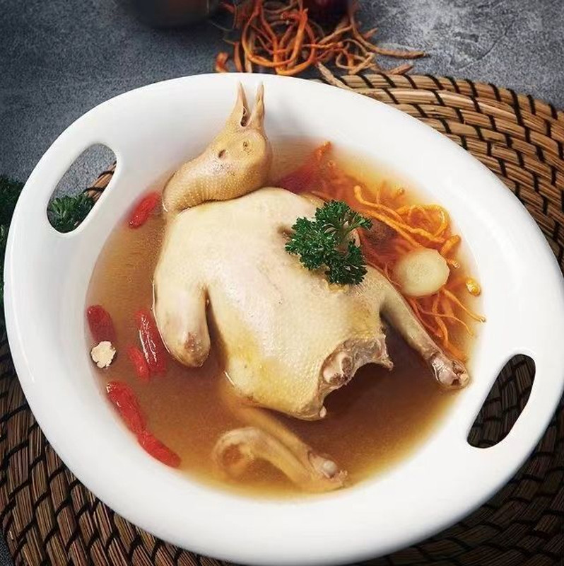 农村老鸽子 深山柴鸽 乳鸽青年鸽 土鸽 鸽子肉 野外自由寻食