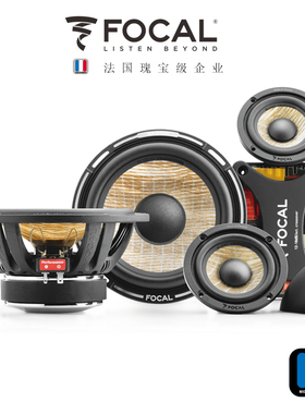 FOCAL法国劲浪喇叭165F/FX/F3 进口亚麻盆三分频二分频喇叭