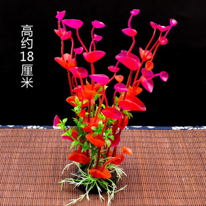 酒店餐厅凉菜摆盘装饰花盘饰点缀花草情人花点缀日料西餐创意摆件