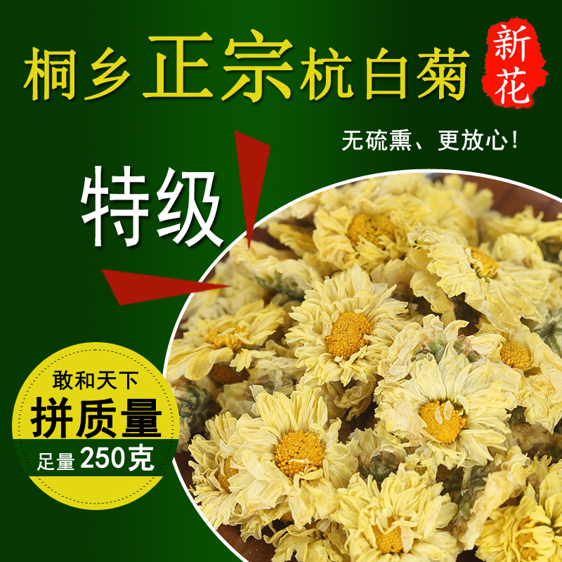 特级正宗桐乡250g散装正品杭白菊