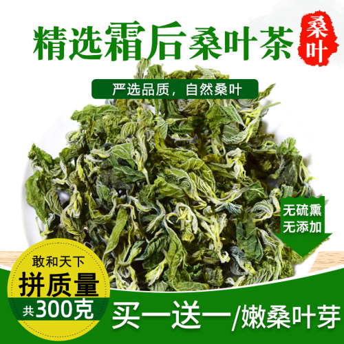 正品泡水喝霜后桑叶芽官方旗舰店