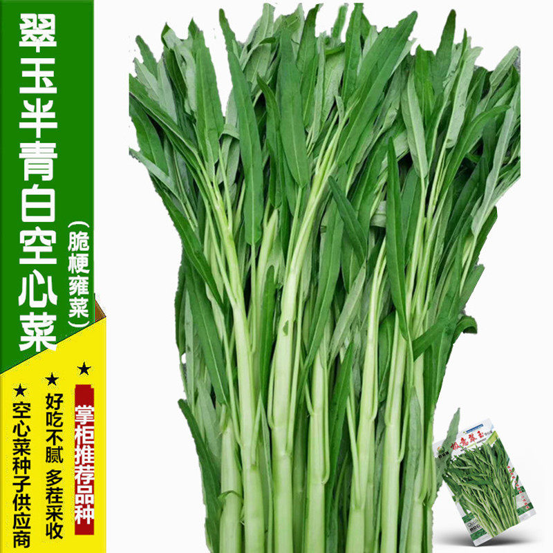 翠玉空心菜种子半青白  脆嫩雍菜种籽大梗好吃 多茬采收绿沃农业,农用物资,蔬菜种子/种苗,淘宝优惠券,粉丝福利购,淘宝优惠卷