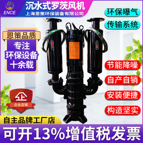 恩策铸铁沉水罗茨河道大功率风机