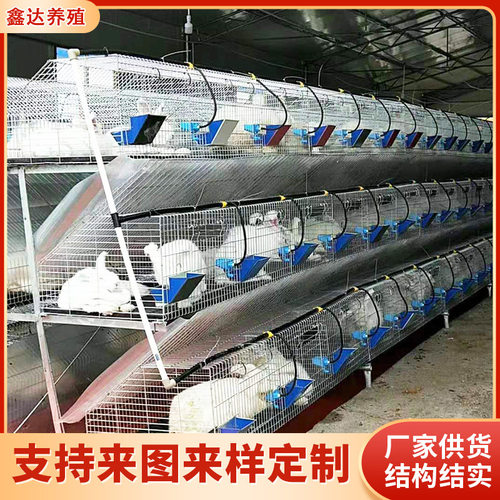 欧式免清粪阶梯兔笼加密