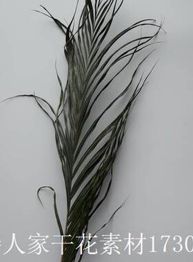 婚庆场景布置叶材空间造型干花