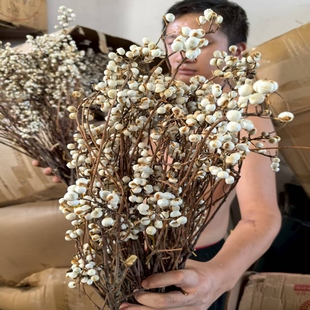 乌桕果小白果天然树枝干花花束北欧风插花民宿客厅装饰干花插花