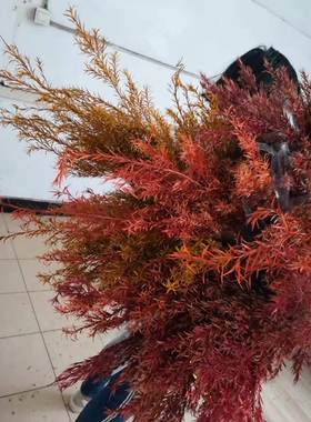 色系千层场景布置金线条垂感干花