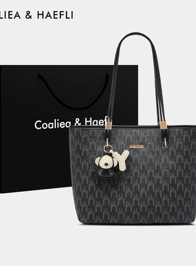 香港品牌女包原创26新款小众设计托特包简约大包高级感腋下手提包