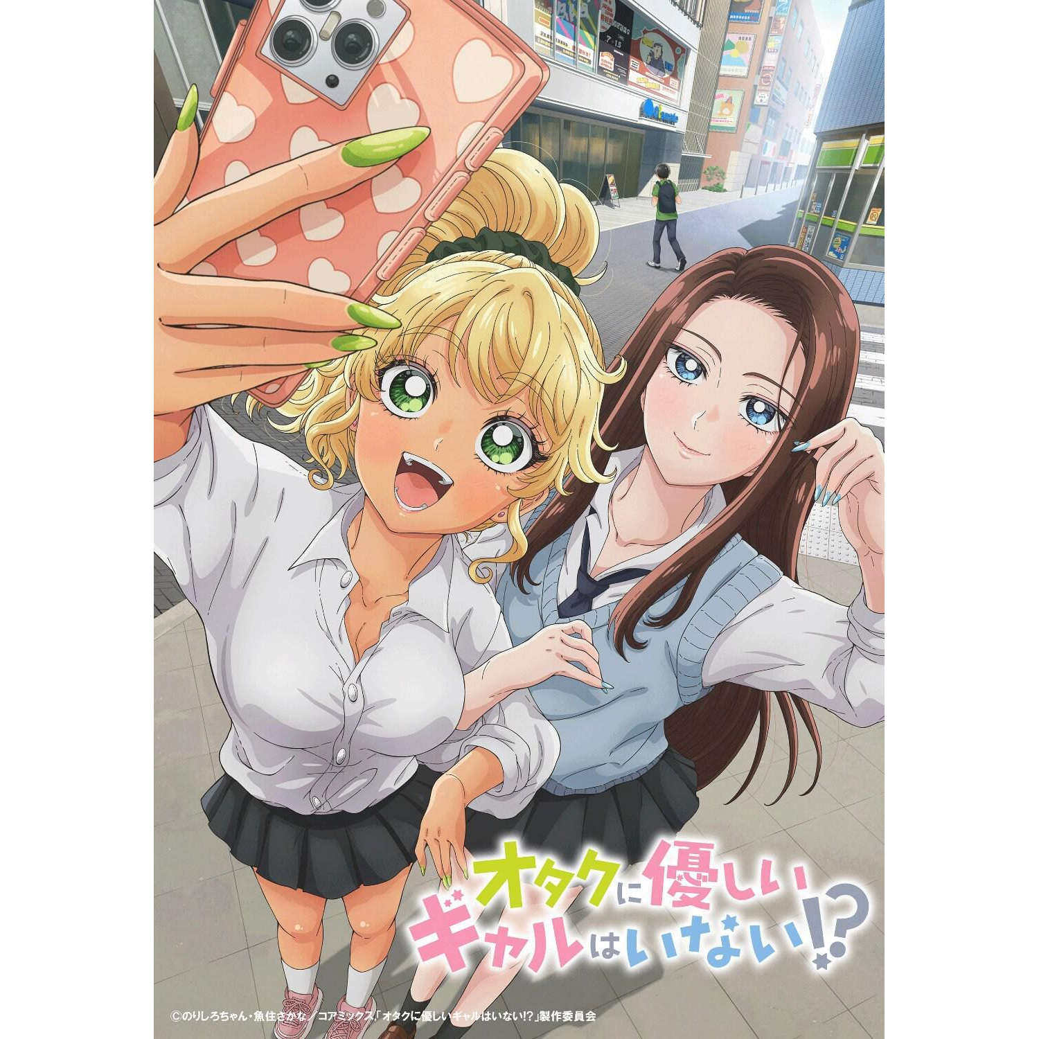 素材/设计盒装 【没有辣妹会对阿宅温柔】 【DVD刻录光盘】