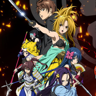 素材/定制 盒装  【织田信奈的野望】   【DVD刻录光盘】