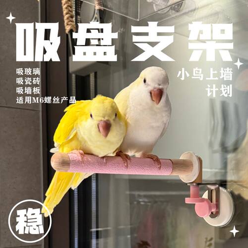 鹦鹉吸盘站架吸盘站杆站棍站台车载窗户吸盘玻璃吸盘瓷砖外出