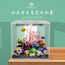 鱼小侠创意小鱼缸客厅小型亚克力桌面家用水族箱 生态免换水背滤