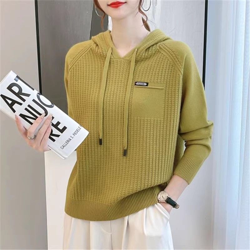 连帽卫衣女2025年新款秋季韩毛针织衫