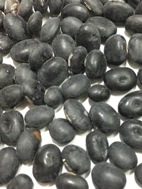 农家自种植自晒台山冲蒌2025年10月乌豆黑豆牛脚印自家种值清润黑
