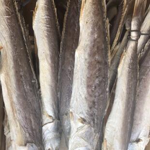 台山广海特产农家自晒野生三牙划仔咸鱼干货无防腐剂下饭好菜包邮