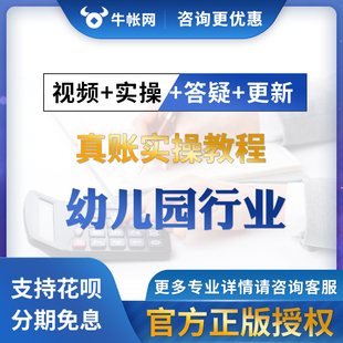 幼儿园行业会计真账实操实训会计实务做账视频教程培训课程一本通