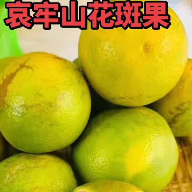 花斑果正宗云南新平花斑果新鲜哀牢山当季新鲜水果橙子