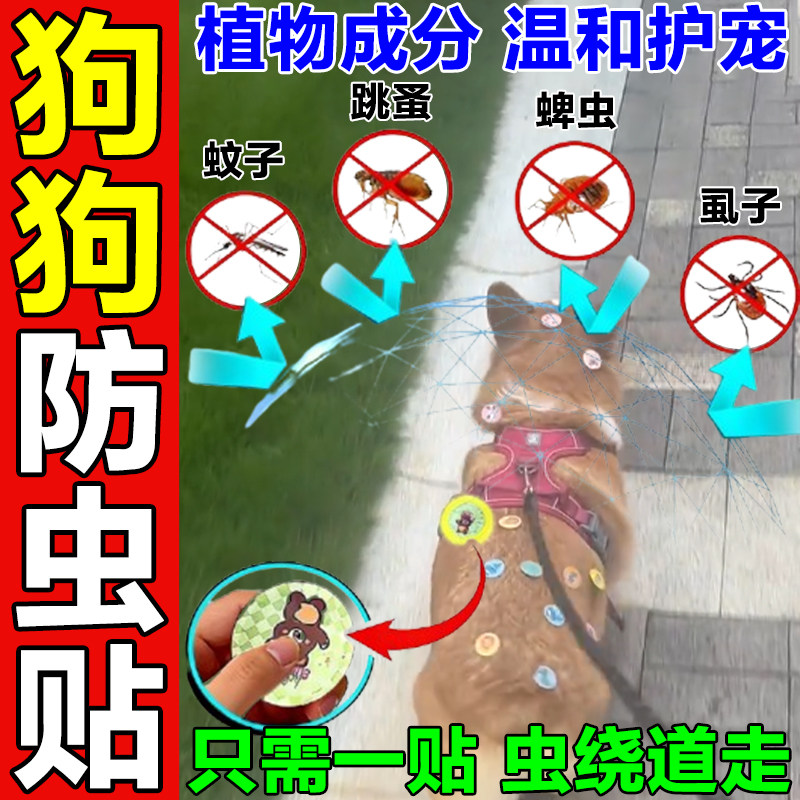 狗狗外出防虫贴宠物驱蚊除跳蚤虱子蜱虫专用项圈植物防护爆珠贴