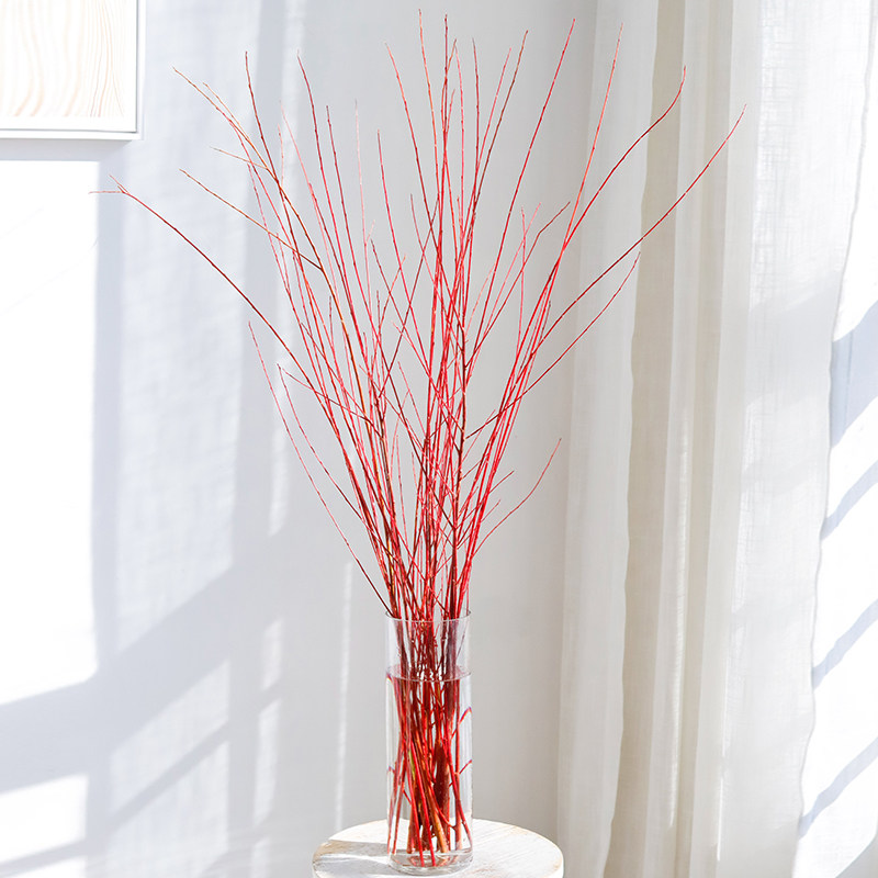 红瑞木进口红柳花艺造型枝条类家庭插花观赏包邮鲜花花卉植物云南