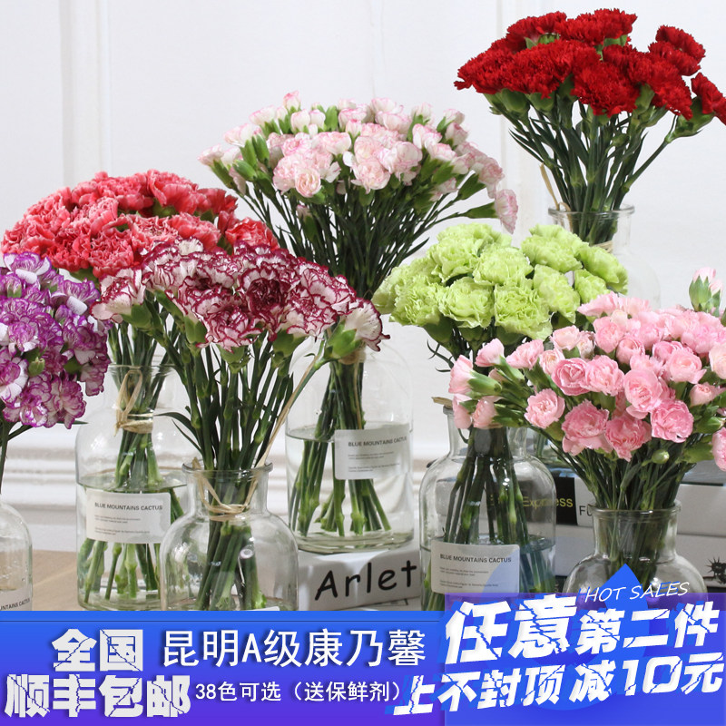 雲南昆明康乃馨鮮花鮮切花瓶插花家用順豐快遞婚慶直批520禮遇季在類目 鮮花速遞/花卉仿真/綠植園藝, 鮮花速遞(同城)中 - 來自Buy2taobao.com提供專業的淘寶代購服務