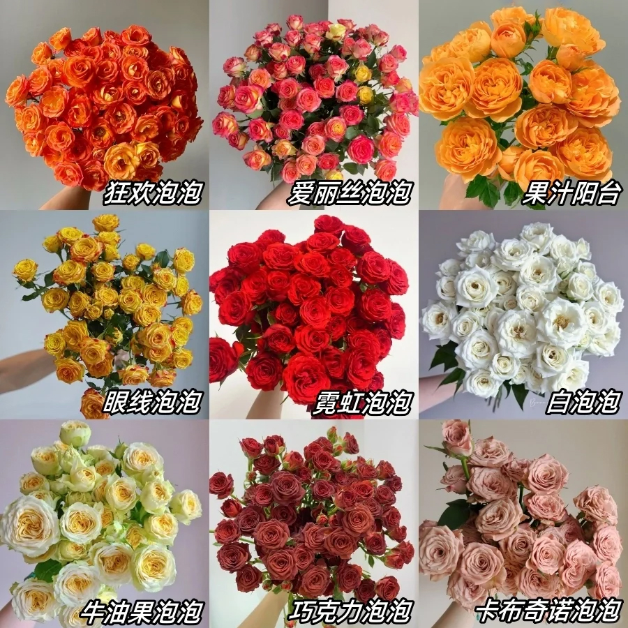 A级多头泡泡玫瑰鲜切花瓶插花
