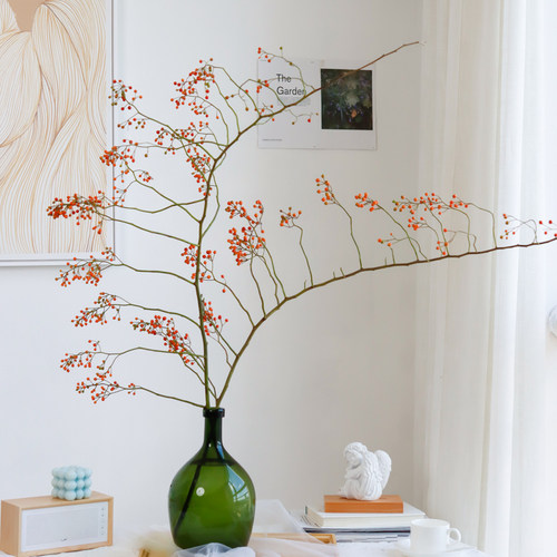 红色山归来蔷薇果鲜切枝水培插花