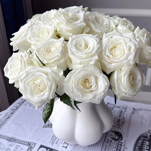 A级骄傲单头玫瑰鲜花家用水培鲜切花雪山粉荔枝插花云南基地直发